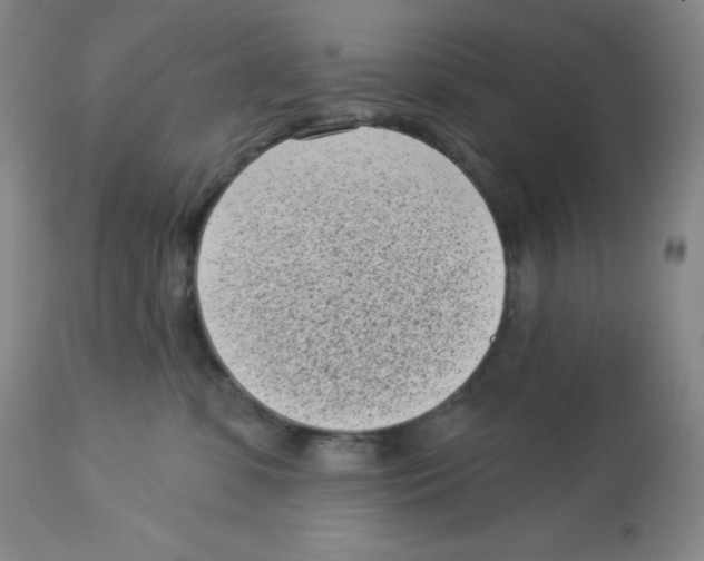X0000113940331200910231949