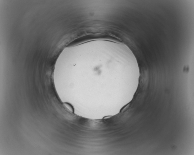 X0000113940333200910231949