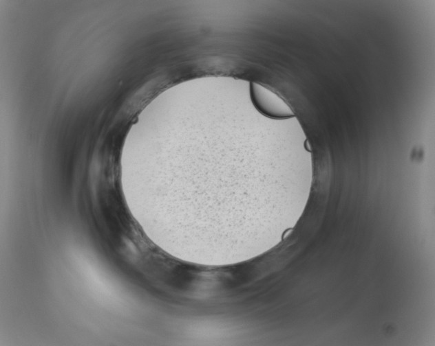 X0000113940334200910231949
