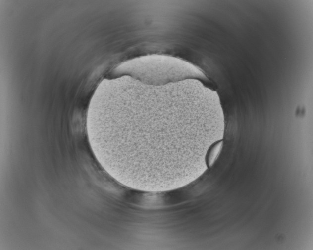 X0000113940335200910231949