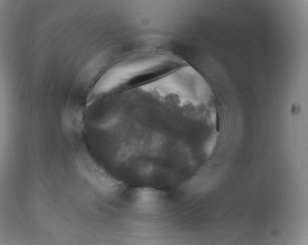 X0000113940336200910231949