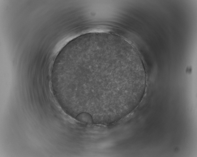 X0000113940337200910231948