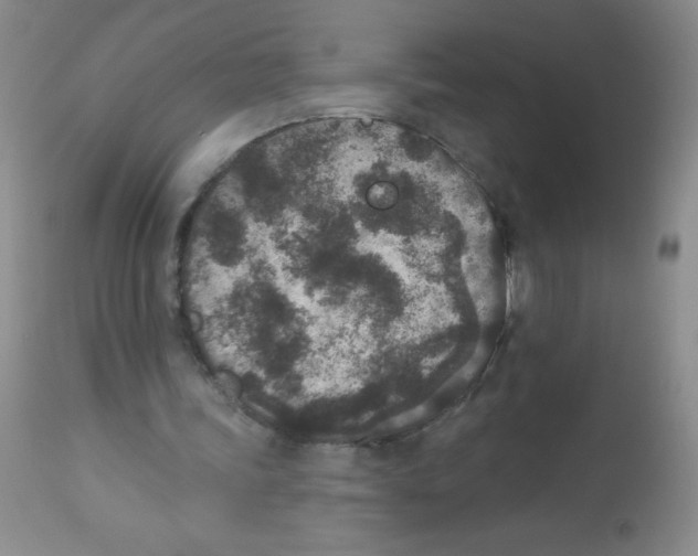 X0000113940339200910231948
