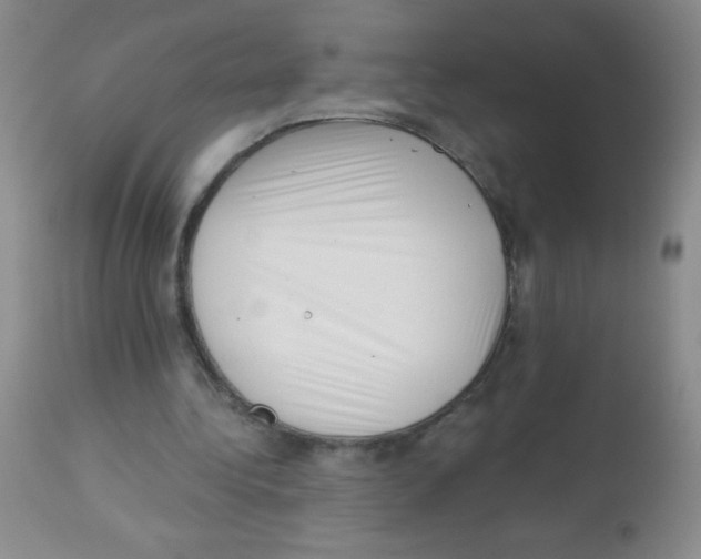 X0000113940340200910231948