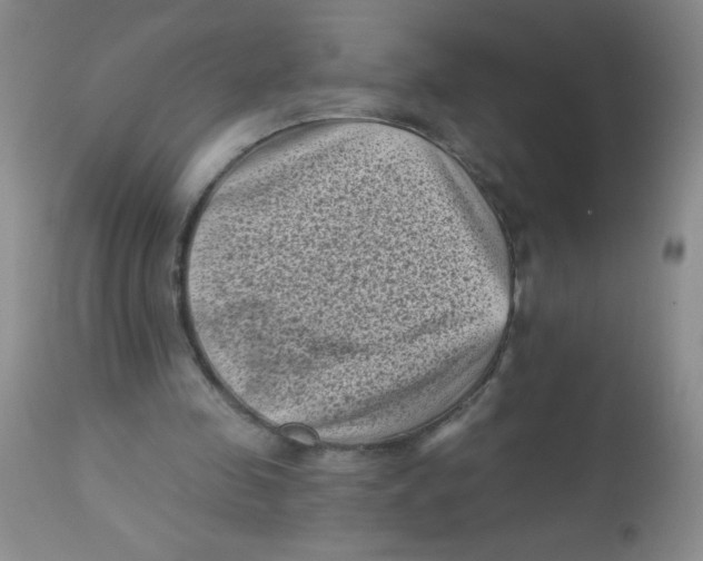 X0000113940341200910231948
