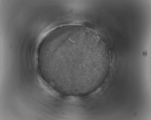 X0000113940343200910231948