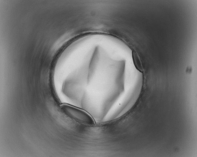 X0000113940344200910231948