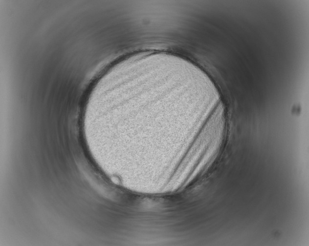 X0000113940346200910231948