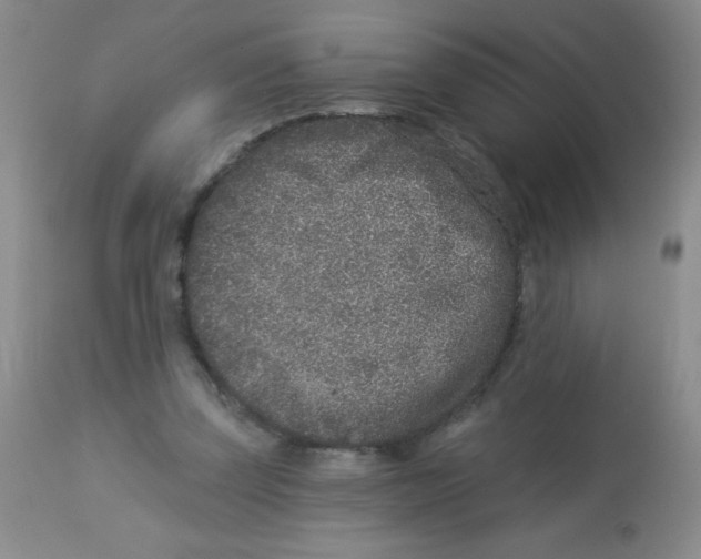 X0000113940347200910231949