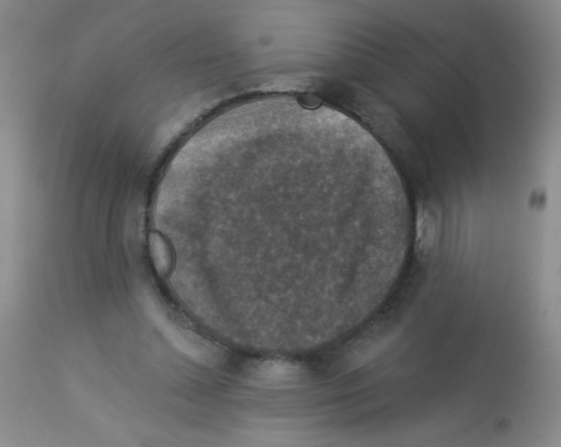 X0000113940348200910231949