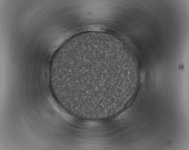X0000113940349200910231949