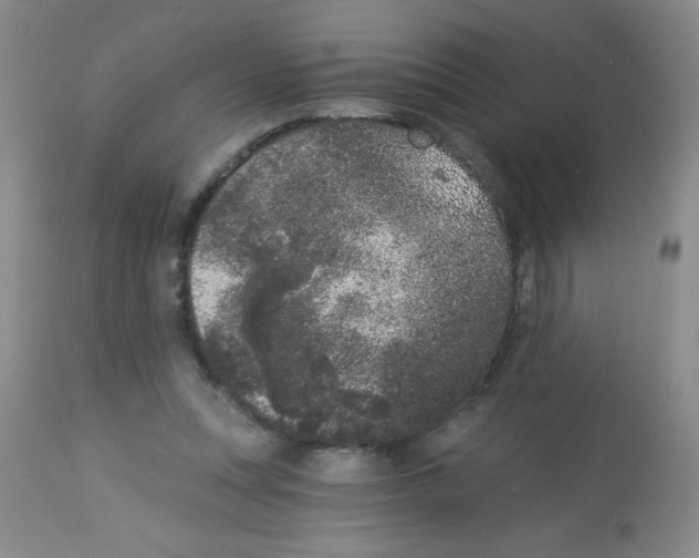 X0000113940351200910231949