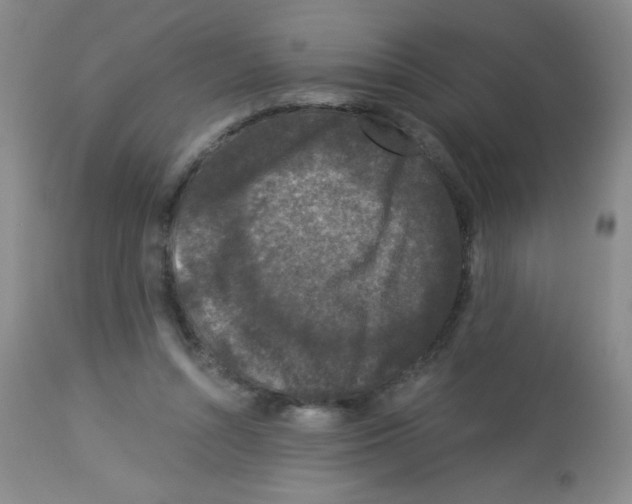 X0000113940352200910231949