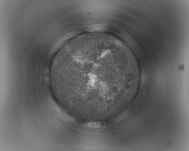 X0000113940353200910231949
