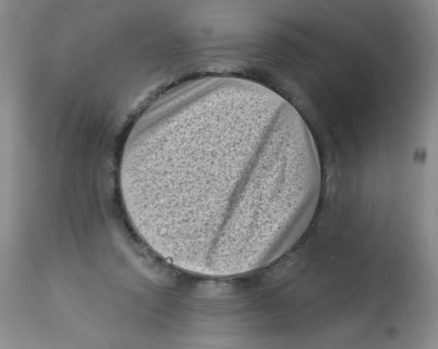 X0000113940354200910231949