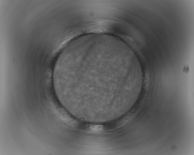 X0000113940355200910231949