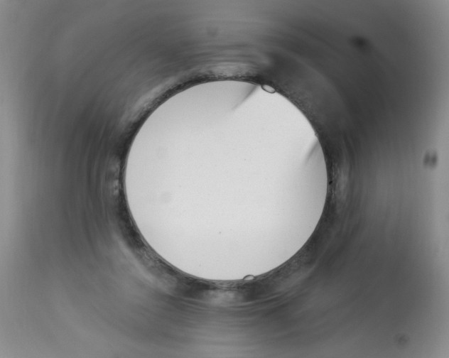 X0000113940356200910231949