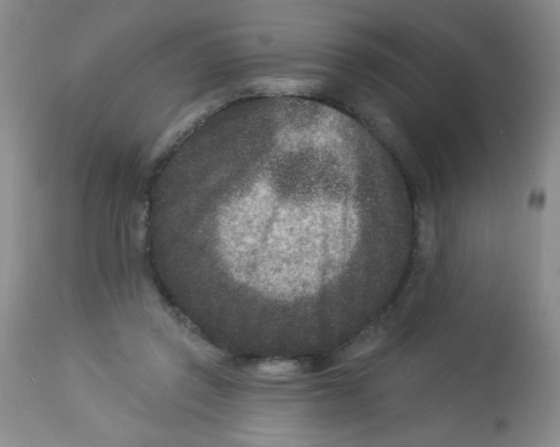 X0000113940357200910231949