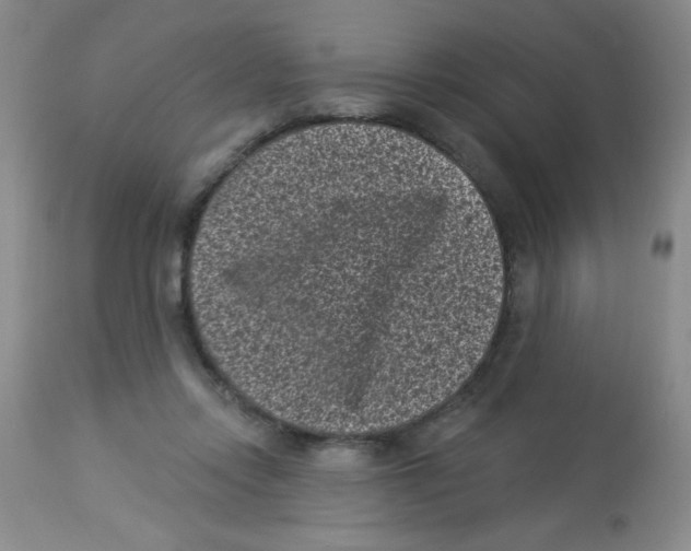 X0000113940358200910231949