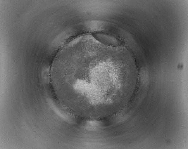 X0000113940360200910231949