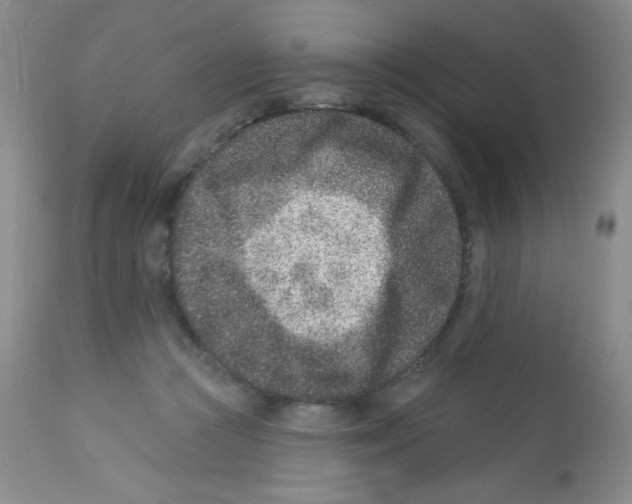 X0000113940361200910231949