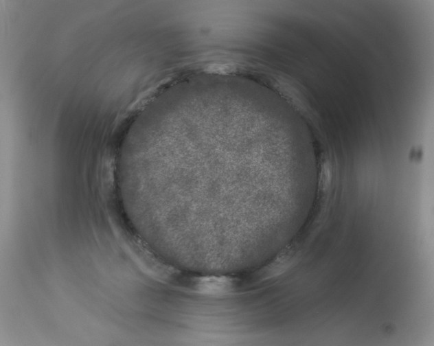 X0000113940363200910231949