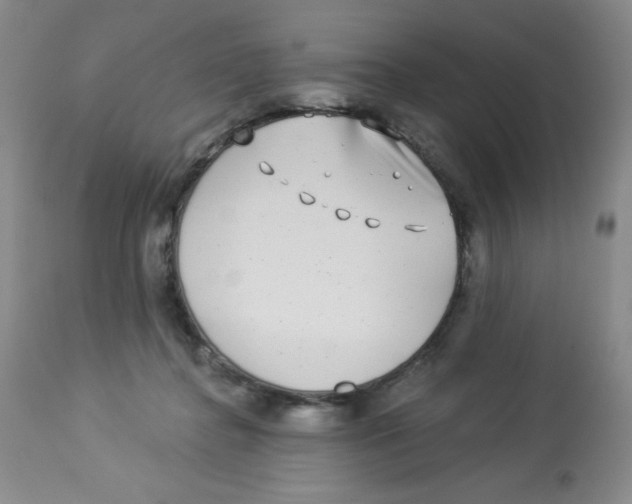 X0000113940364200910231949