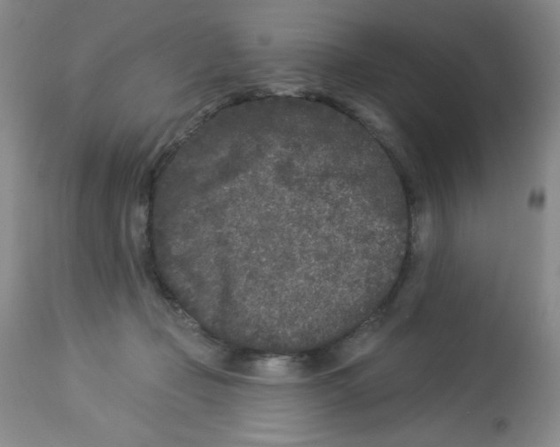 X0000113940365200910231949