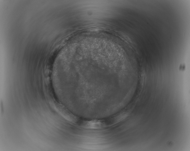 X0000113940366200910231949