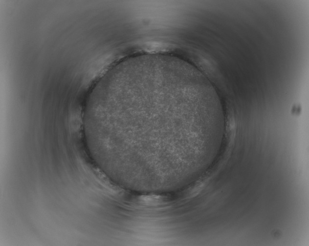 X0000113940367200910231949