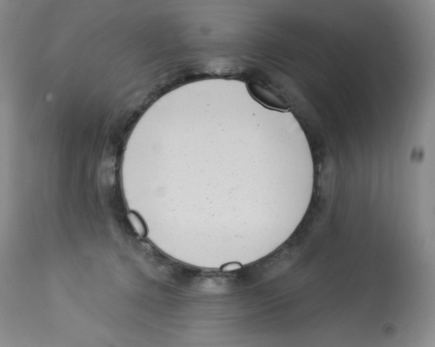 X0000113940368200910231949