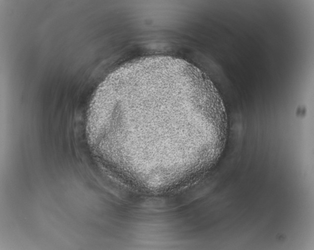 X0000113940369200910231949