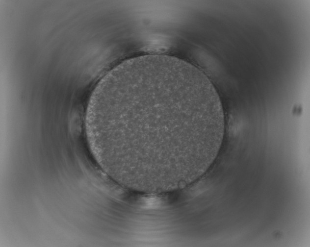 X0000113940370200910231949