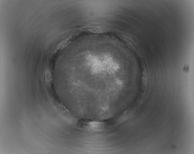 X0000113940371200910231949