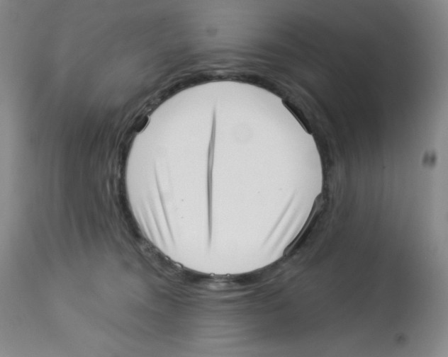 X0000113940372200910231949