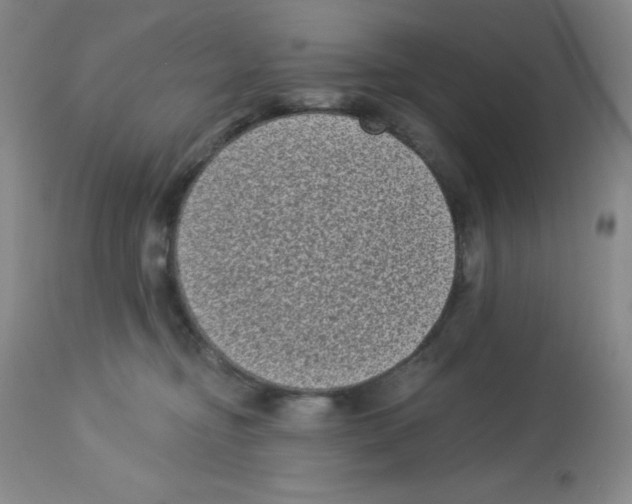 X0000113940374200910231949