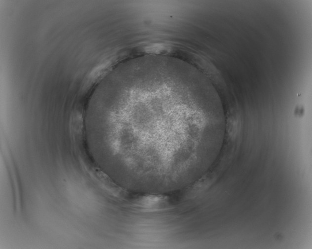 X0000113940375200910231949