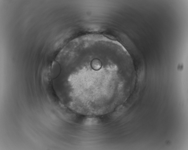 X0000113940376200910231949