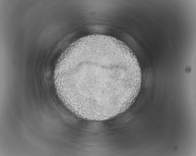 X0000113940377200910231949