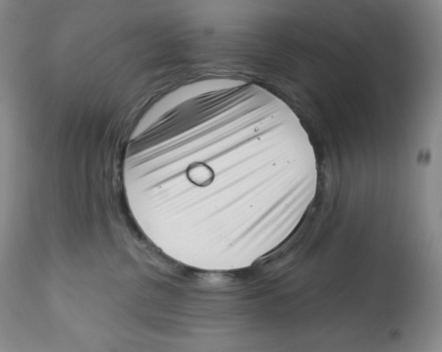 X0000113940380200910231949