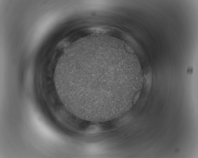 X0000113940381200910231949