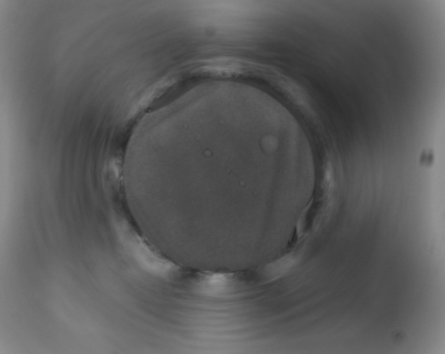 X0000113940382200910231949