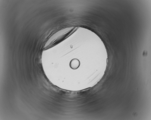 X0000113940384200910231949
