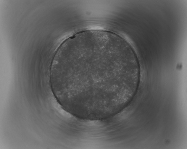 X0000113940385200910231948
