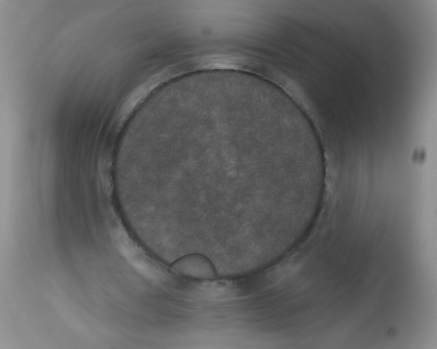 X0000113940386200910231948