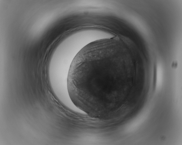 X0000113940387200910231948