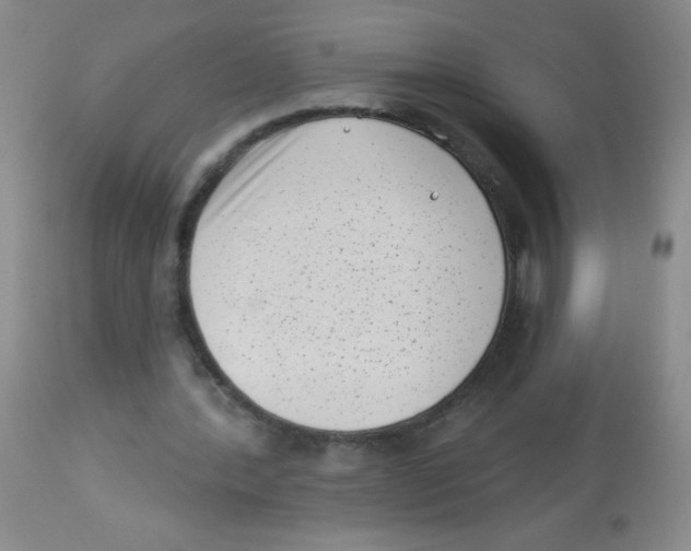 X0000113940388200910231948