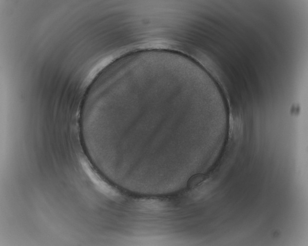 X0000113940389200910231948