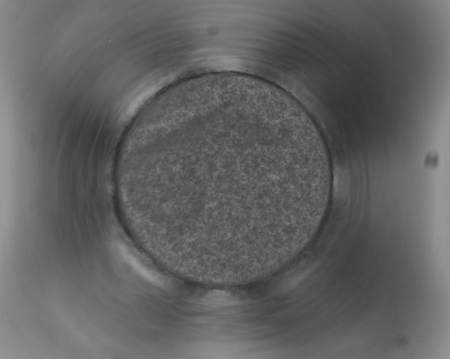 X0000113940390200910231948