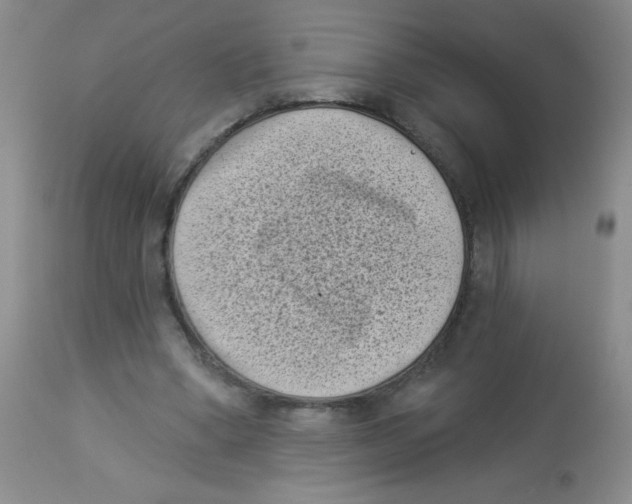 X0000113940394200910231948